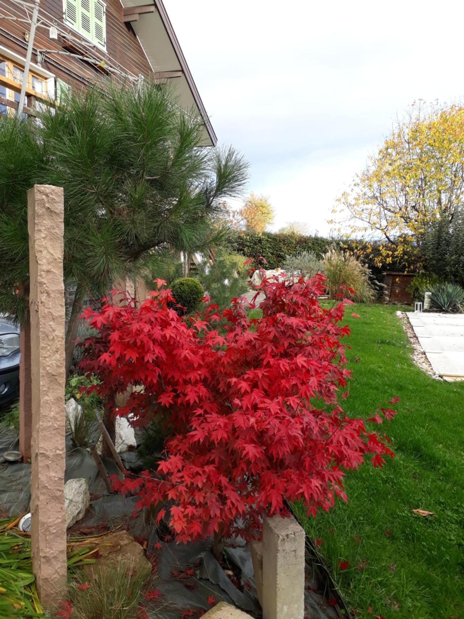 Chalet Norev Saint-Martin-du-Mont Dış mekan fotoğraf